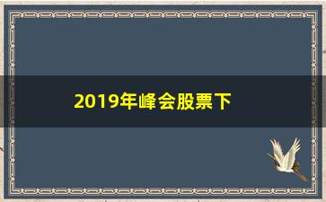 “2019年峰会股票下跌什么意思